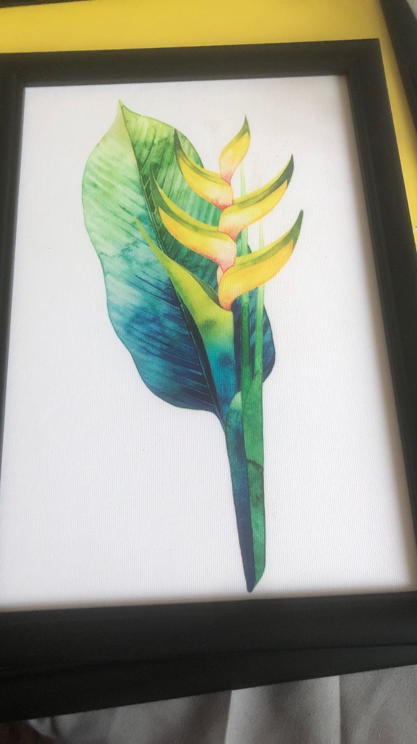 Sao sản phẩm này mình mua nó lại ko có phần kính đi kèm vậy? Mình thấy người khác mua có mà???