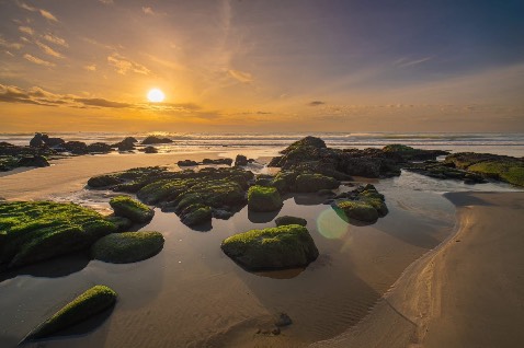 Hàng chi tiết đẹp