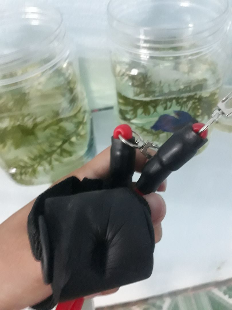 Dùng ổn, không biết do vận chuyển hay sao mà bị một số cái bị biến dạng. 2 hình đầu tiên trong ảnh bán hàng đâu phải sản phẩm này.