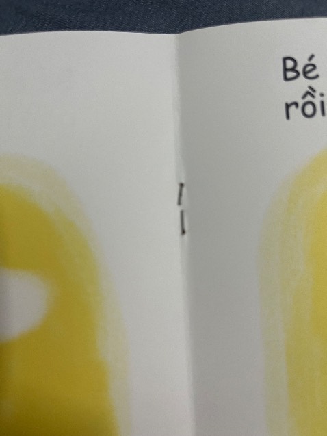 Ghim sách bị han rỉ cả 2 cuốn