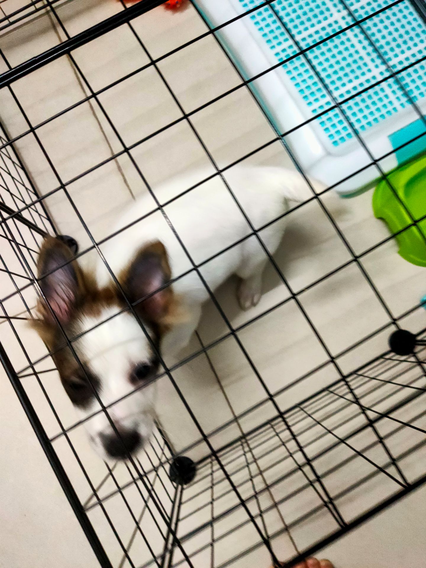 sp ok đúng chuan hịhf chỉ co điều em nhà mình k chịu di vs ma dùng để ngủ j ak