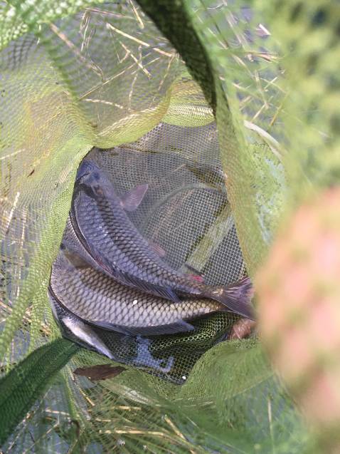 Giao hàng nhanh, đầy đủ như mô tả, còn chất lượng thì sử dụng 1 thời gian mới biết đc