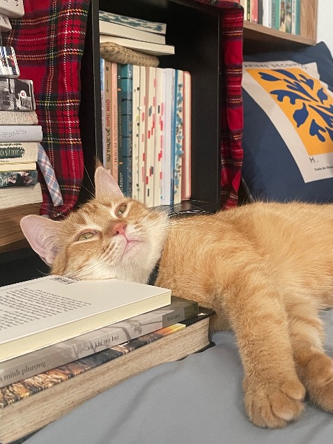 Mình thích vibe của bìa nên mua hẳn bộ 3 cuốn của tác giả. Ban đầu mình nghĩ sẽ là sách chữa lành nhẹ nhàng.
Nhưng không 😃
Chắc sẽ feedback từng cuốn một. 
Mình đọc Và Khi Tro Bụi trước. Mà tầm 20 trang đầu không muốn đọc tiếp vì nhân vật đang ở trong giai đoạn trầm uất, cảm nhận năng lượng của nhân vật chính nên hơi mệt người. Nhưng đọc dần dần thì thấy cuốn. Nhân vật chính muốn buông tay với cuộc đời với câu chuyện của chính mình, rồi sống nhưng bám víu bằng câu chuyện của người khác, rồi khi câu chuyện của người khác khiến cô ấy mất luôn niềm tim cuối cùng,  rồi quay lại với sự trống rỗng chính mình, và vì trống rỗng nên sau đó có những điều khác mở ra. Là hành trình để đi tìm câu trả lời nào đó cho chính mình. Kiểu muốn tìm kiếm một điều gì đó nhưng không biết đó là điều gì. Cô ấy muốn chết chỉ vì cô ấy không biết sống để làm gì, nhưng cô ấy cũng không thực sự muốn chết vì cô ấy không biết sau cái chết là gì. Câu chuyện có cái gì đó mở ra cho những tâm hồn đang tìm kiếm lại ý nghĩa của cuộc sống. Hoặc tìm kiếm 1 lý do để sống. Nói chung ai đã trải qua rồi sẽ thấy sâu sắc. Sách dành cho người trưởng thành đã từng ngụp lặn với việc ở giữa hai lằn ranh tìm kiếm chính mình và đánh mất chính mình. Một lằn ranh cần sự đấu tranh mệt mỏi, cô đơn, đau đớn, hoang mang, trống rỗng, hỗn loạn... có đủ cả.