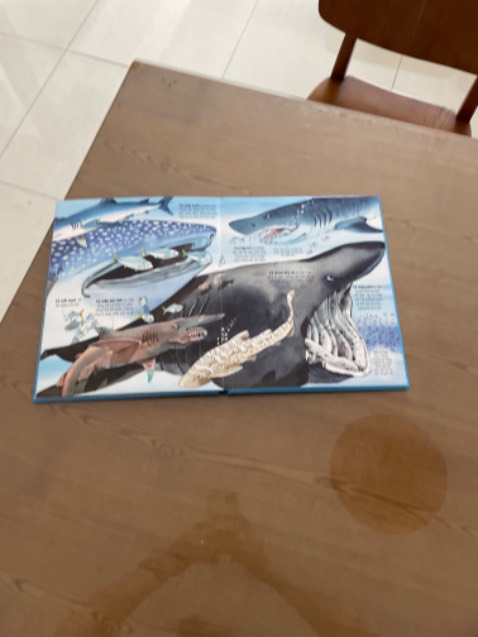 Giao hàng nhanh, đóng gói cẩn thận, sách in đẹp, hình ảnh bắt mắt, sống động. nội dung dịch khá tốt