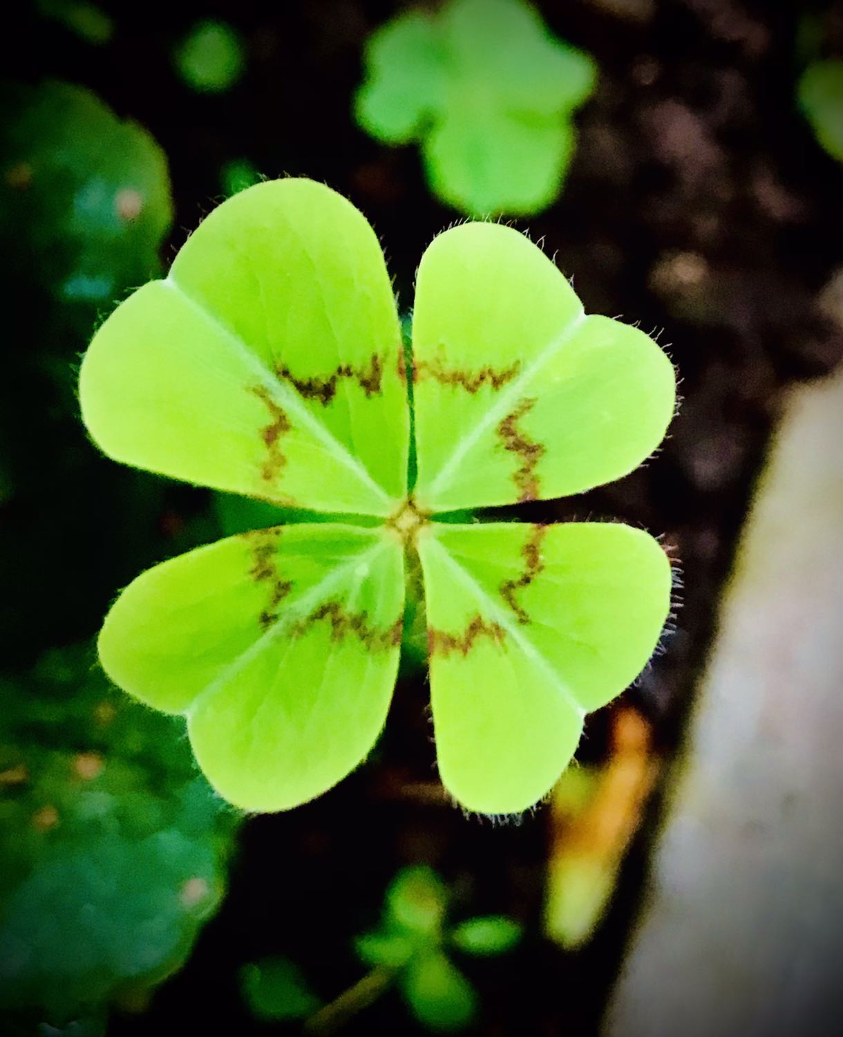 Sách về danh nhân bao giờ cũng cuốn hút. Tiki giao hàng nhanh, đóng gói cẩn thận