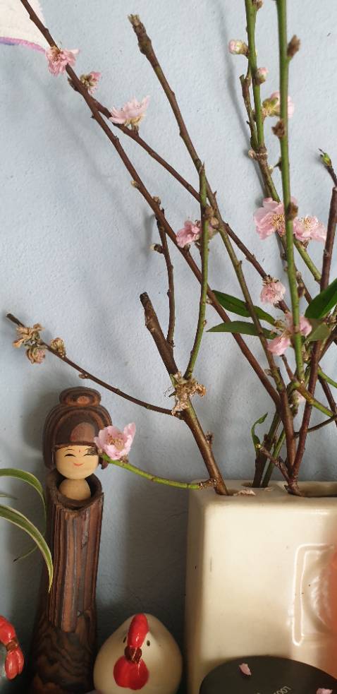 Chất liệu cotton thích, dáng đẹp, size M mà thấy hơi to chút