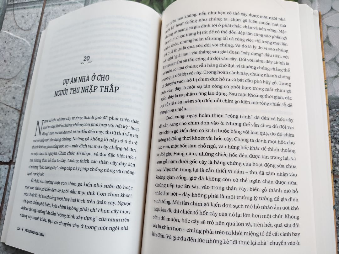 Bạn đầu bạn luôn nghĩ cây là chuỗi cuối cùng trong chuỗi thức ăn nhưng sau khi đọc quyển sách này bạn sẽ bt cây sẽ bt đau, bt suy nghĩ, hơn thế có một xã hội như loài người. Bt đoàn kết, chia sẽ, tính toán cho đời sau. Vậy nghĩ xem sau này bạn sẽ đối sử với cây( thực vât) ra sau khi bt những điều này về chúng.? Sẽ k ai còn tùy tiện cư xử thiếu ý thức với chúng nữa khi bt lúc chúng ta xem chúng đẹp nhất lại là lúc chúng khổ sở, lo lắng,v.v. đọc để cảm nhận....