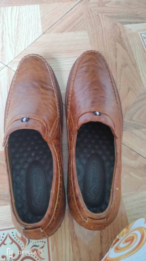 Sp giống hình rất đẹp