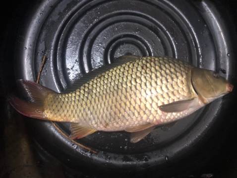 phụ kiện kèm theo rất đầy đủ rất đáng tiền, shop làm việc rất chuyên nghiệp