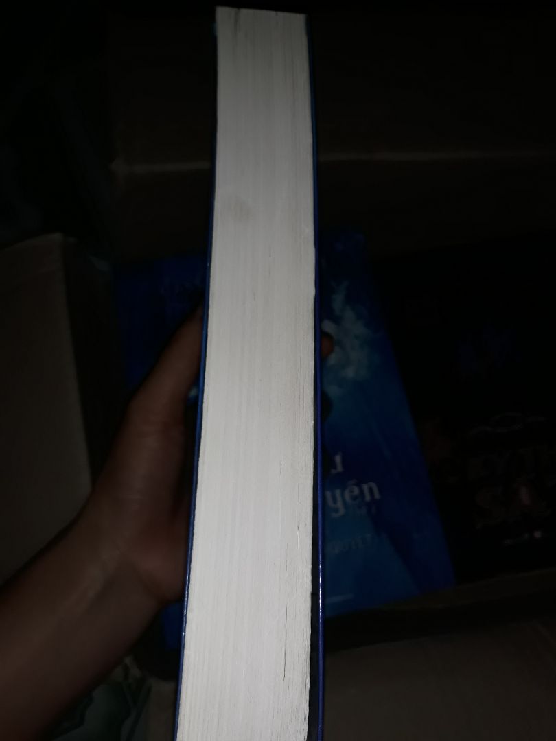 Mình đặt 2 series của Cassandra Clare, Tiki giao cho mình cuốn này là tệ hại nhất. Nó không có màn co, bụi bám đen xì. Bìa trước sách bị gãy, hằn vết nhiều. Gáy sách thì dính keo đen xì. Ở mép bìa bị bong tróc lớp nilon. Bìa sau còn dán 1 miếng giấy, không dám lột ra vì sợ không sạch keo. Mình chụp hình cho nên sẽ không thể hiện rõ được, nhưng mà phải nói là cuốn truyện mình nhận được có hình thức vô cùng tệ hại. Mình bỏ tiền ra mua truyện mới chứ không phải để mua hàng tồn. Vì mình mua để sưu tầm cho nên cực kỳ bực bội khi nhận 1 cuốn truyện cũ mèm thế này.