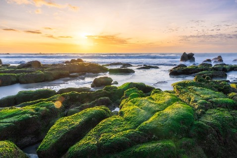 Hàng chi tiết đẹp