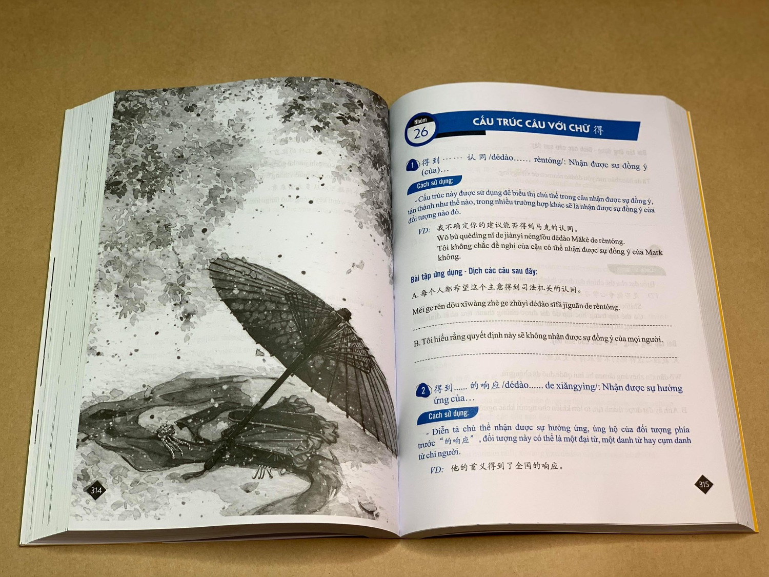 Đây là cuốn sách về các cấu trúc tiếng Trung hay nhất từ trước tới giờ mà tôi biết. Sách dễ hiểu, tính ứng dụng thực tế cao và đặc biệt là đầy đủ phiên âm. 
Tôi thấy bạn nào mà muốn học tiếng Trung thì nên mua cuốn sách này về ngay