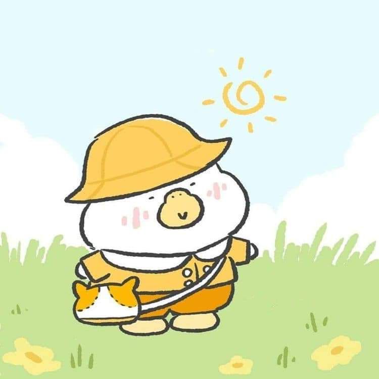 hay, Hàng như hình, bọc cẩn thận