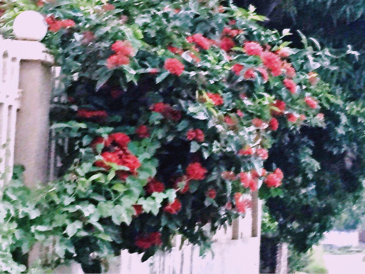 Sách đủ kiến thức, học hay lắm ạ