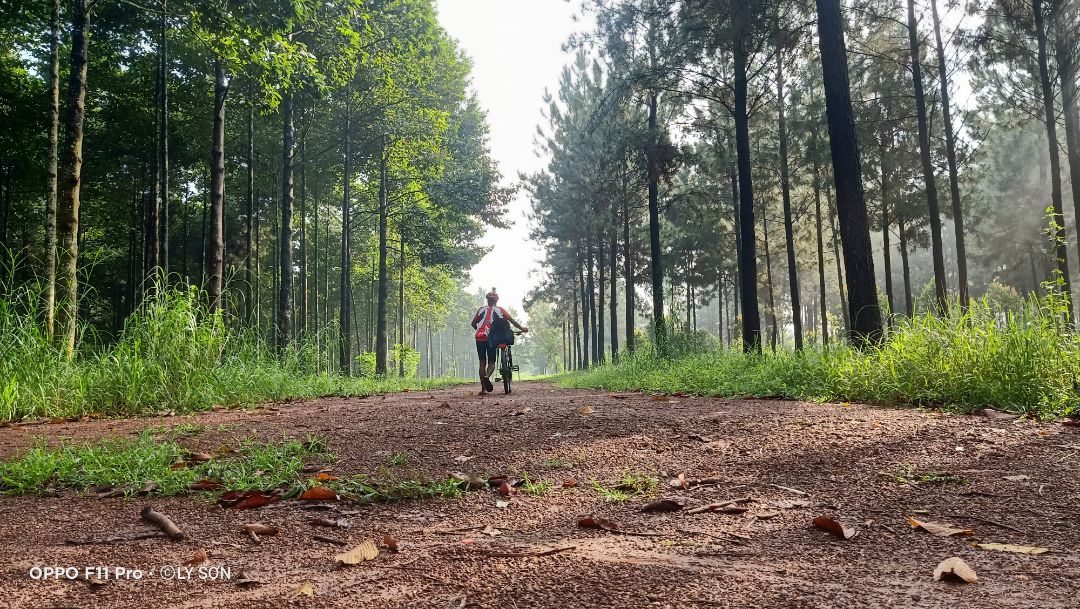 mọi người chú ý cái remote, lấy cột dây đeo liền nhe, tui bỏ trong túi áo lúc giặt đồ quên giờ vô nước hư luôn phải chụp bằng hẹn giờ