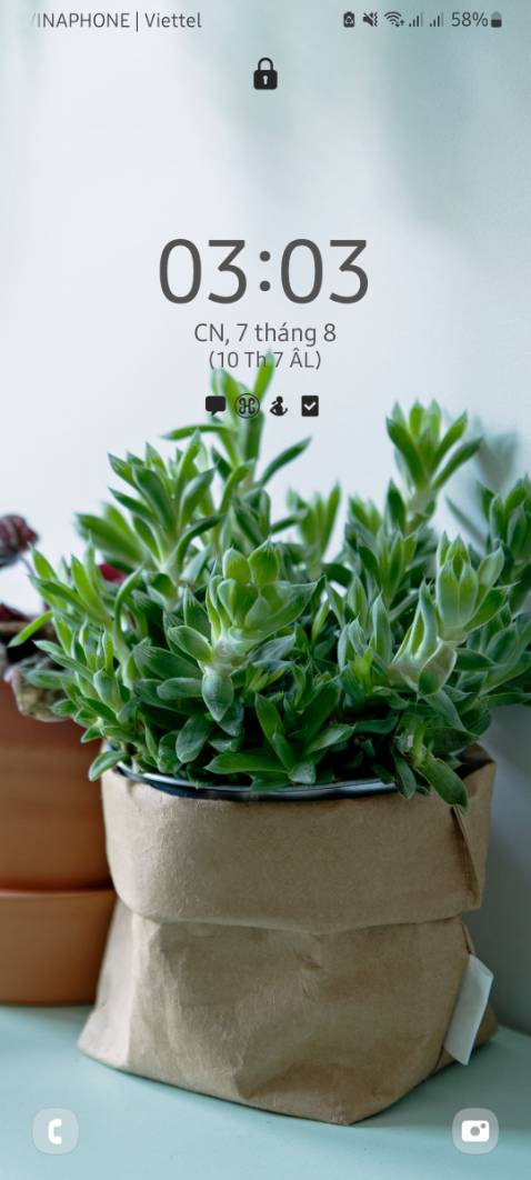 Chất lượng ok vải đẹp (hình ảnh chỉ mang tính chất nhận xu thôi nha) sẽ còn ủng hộ shop