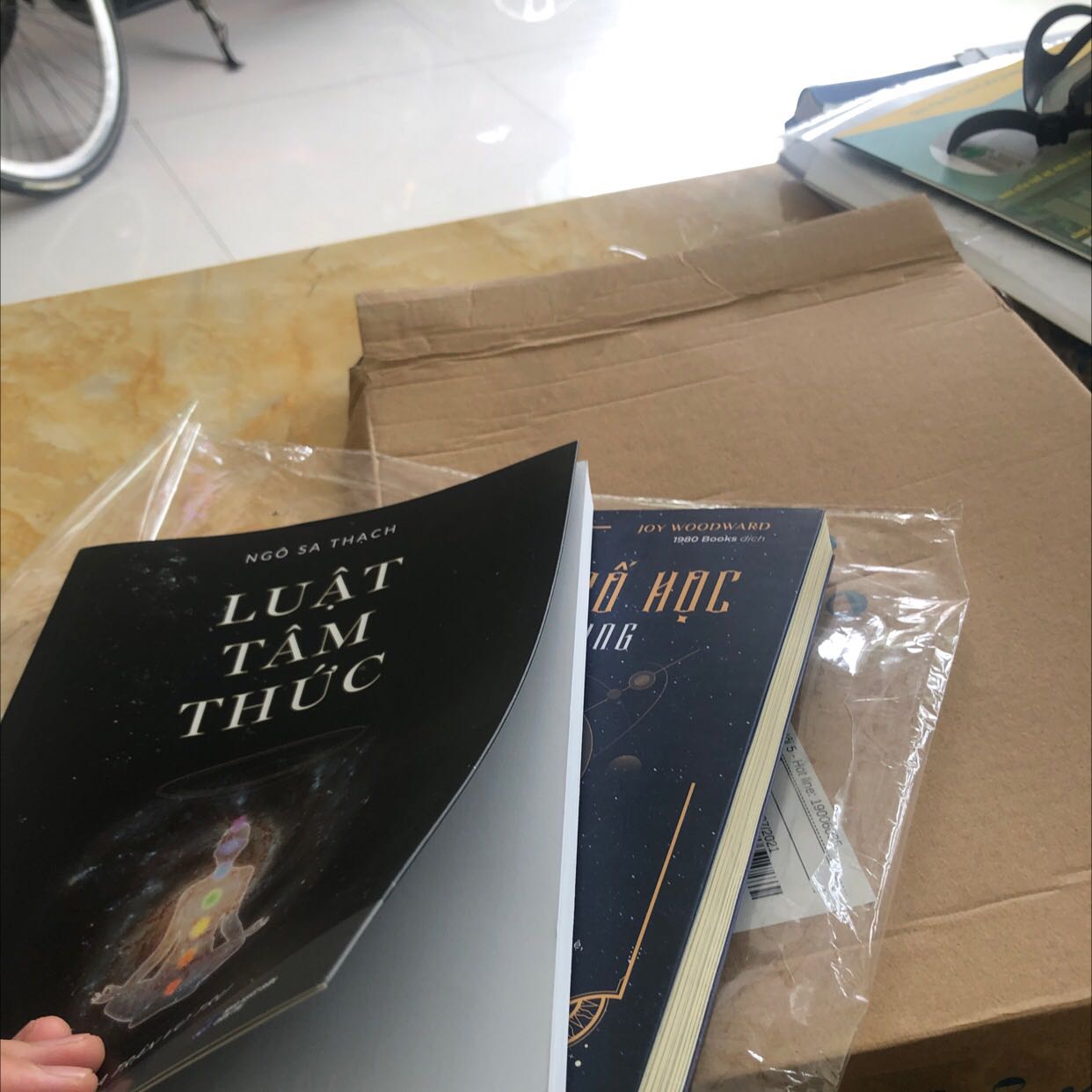 Tại sao lúc về quyển Luật tâm thức lại là bản bìa mềm trong khi giá gộp 2 quyển lại đắt hơn riêng lẻ bìa mềm? Em đã nghĩ đó là bản bìa cứng