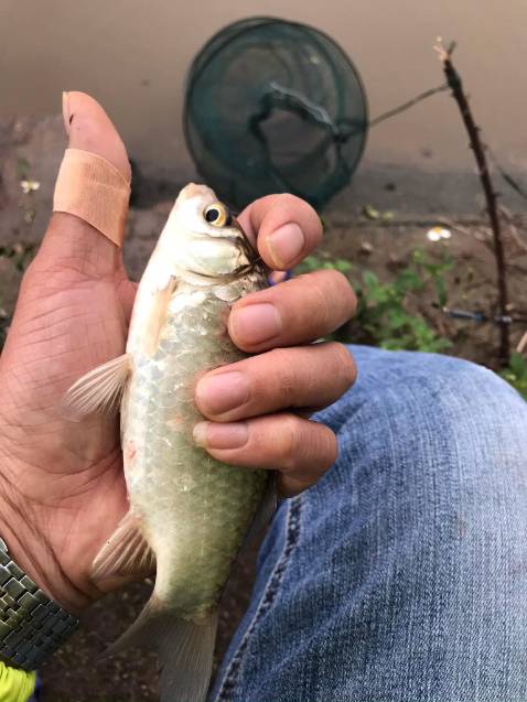 Giao hàng hơi lâu. Sản phẩm ok so với mức giá. Giao hàng hơi lâu. Sản phẩm ok so với mức giá.