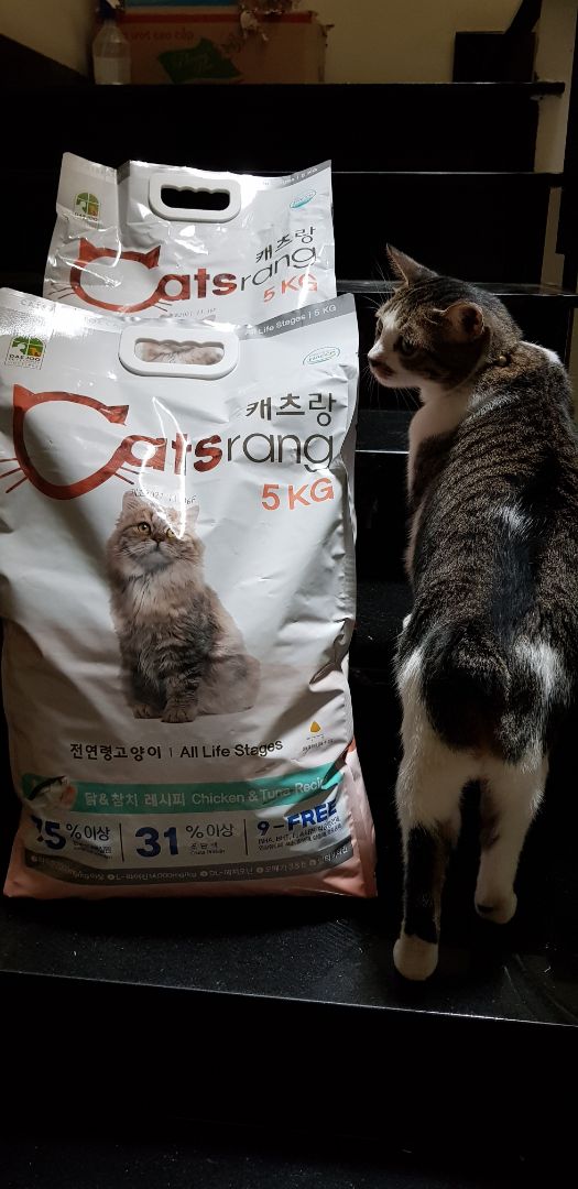 Hàng mới sản xuất được 2 tháng, hạn sử dụng 18 tháng kể từ ngày sản xuất.Vỏ bao nguyên vẹn, trơn láng.2 bao 5kg được đóng thùng carton gọn đẹp.Giao đúng hẹn. Nhân viên giao hàng nhiệt tình. Hàng mới sản xuất được 2 tháng, hạn sử dụng 18 tháng kể từ ngày sản xuất.Vỏ bao nguyên vẹn, trơn láng.2 bao 5kg được đóng thùng carton gọn đẹp.Giao đúng hẹn. Nhân viên giao hàng nhiệt tình.