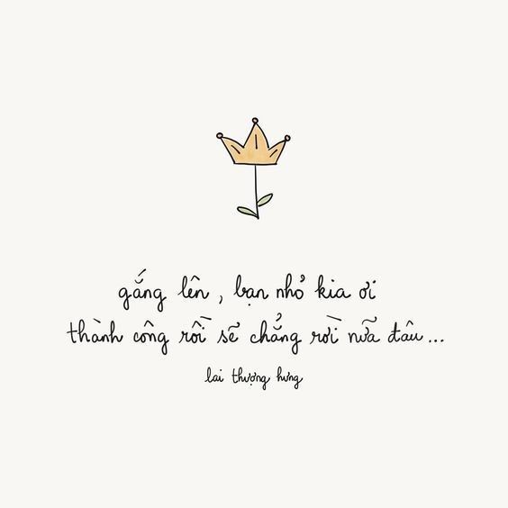 sản phẩm chất lượng rất tốt, khá ok về mặt nội dung, phù hợp với những bạn định thi HSG văn lớp 10