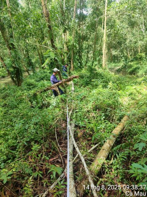 Sjâjaj đj KJD sja f jâjajaja fjjâjaf jâjaajf jạkajaf ạkajf jâjjf jâjjf jâjjf iạiajjf Kankakee jạkajaf âkjf