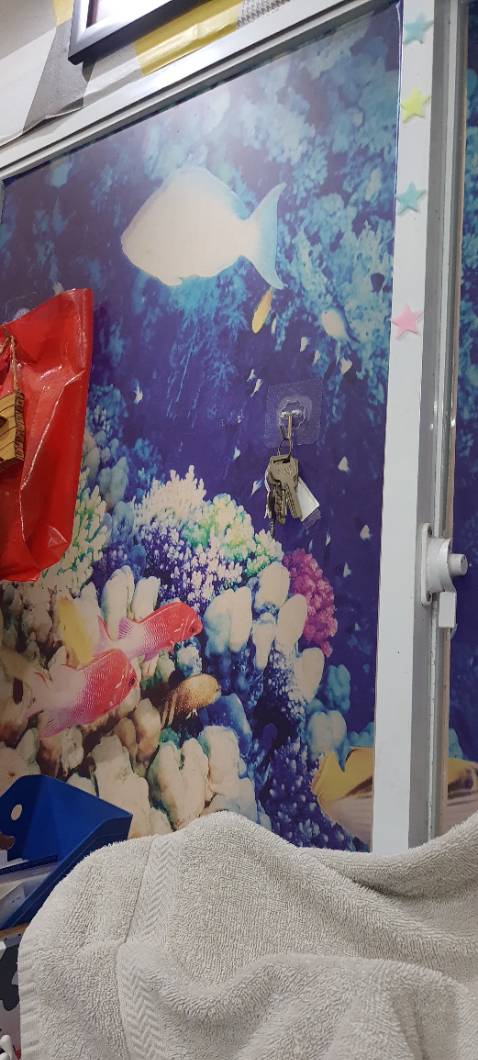 Sản phẩm giống như mô tả, xài rất ok, hy vọng mình sẽ mua được nhiều sản phẩm hơn nữa của shop