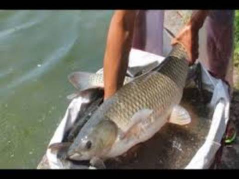 Mẫu mã đẹp và sản phẩm đóng gói cẩn thận.