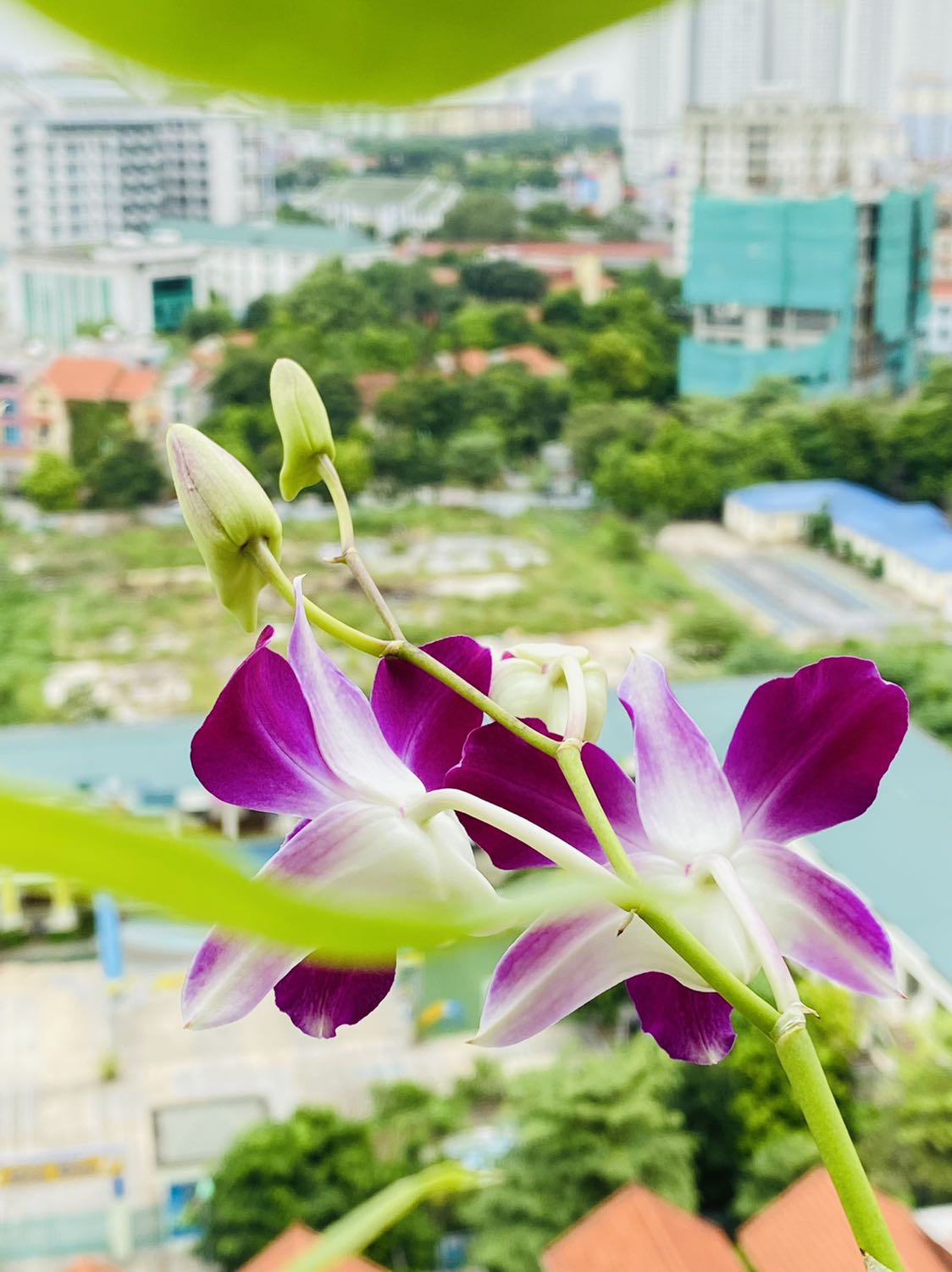 Fahasa giao hàng hơi chậm, chắc do đang giãn cách. Sách đẹp, đóng gói cẩn thận