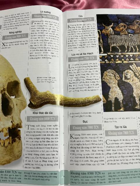 Sách đóng bị lỗi, bị lỗ hết quyển