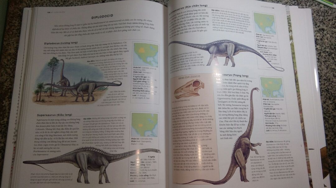 Cuốn sách với tựa đề gốc " the complete book of dinosaurs " của Dougal Dixon - tác giả của nhiều cuốn về động vật nổi tiếng. Mình sẽ nhận xét cuốn sách này những mặt như sau:
 Về chất lượng : cuốn sách mà tiki giao tới còn nguyên vẹn, mới tinh và có mùi thơm của sách. Shipper của tiki thân thiện,  giao hàng đúng hẹn. 
 Về nội dung : 
    Tính tới thời điểm hiện tại, thì đây là cuốn sách về khủng long đầy đủ nhất tại Việt Nam. Cuốn sách giới thiệu 355 loài khủng long và động vật thời Tiền sử khác như dực long, placodont, ngư long,nothosaur,... cuốn sách nêu từng loài khủng long trong kỉ Triassic, Jurassic và Creata trong đó từng thời gian sẽ phân loại,sắp xếp các loài trong các nhóm khủng long .Mỗi loài luôn có thông tin về kích thước, nơi phát hiện và phân loại rất chi tiết. Tên từng loài được giữ nguyên và có thêm các tên Hán Việt giúp người đọc dễ nhớ hơn. Và cái cuối cùng là sách được minh hoạ bằng hình ảnh đẹp đến từng chi tiết. 
       Nói về nhược điểm,theo mình thì cuốn sách này chỉ đúng hơn 80 phần trăm các thông tin. Do cuốn sách được ở nước ngoài xuất bản vào 2010 , nên tính đến thời điểm hiện tại 2019 thì cũng có những sai sót về thông tin lẫn hình dáng của chúng. Ví dụ như trường hợp con Liopleurodon ở trang 125 nói rằng chiều dài của nó là 25 m tuy nhiên hiện tại  kích thước của nó chỉ còn 7 m và còn kha khá lỗi sai khác nữa. Về bản dịch không nói tới lỗi sai chính tả thì bản dịch khá tốt. Mong Đong A có cập nhật những thông tin ngày càng chính xác để có hiệu đính cuốn sách ngày càng tốt hơn.  
 Cuốn sách này đáng được mọi người đọc và kham khảo, kể cả trẻ em và người lớn :v