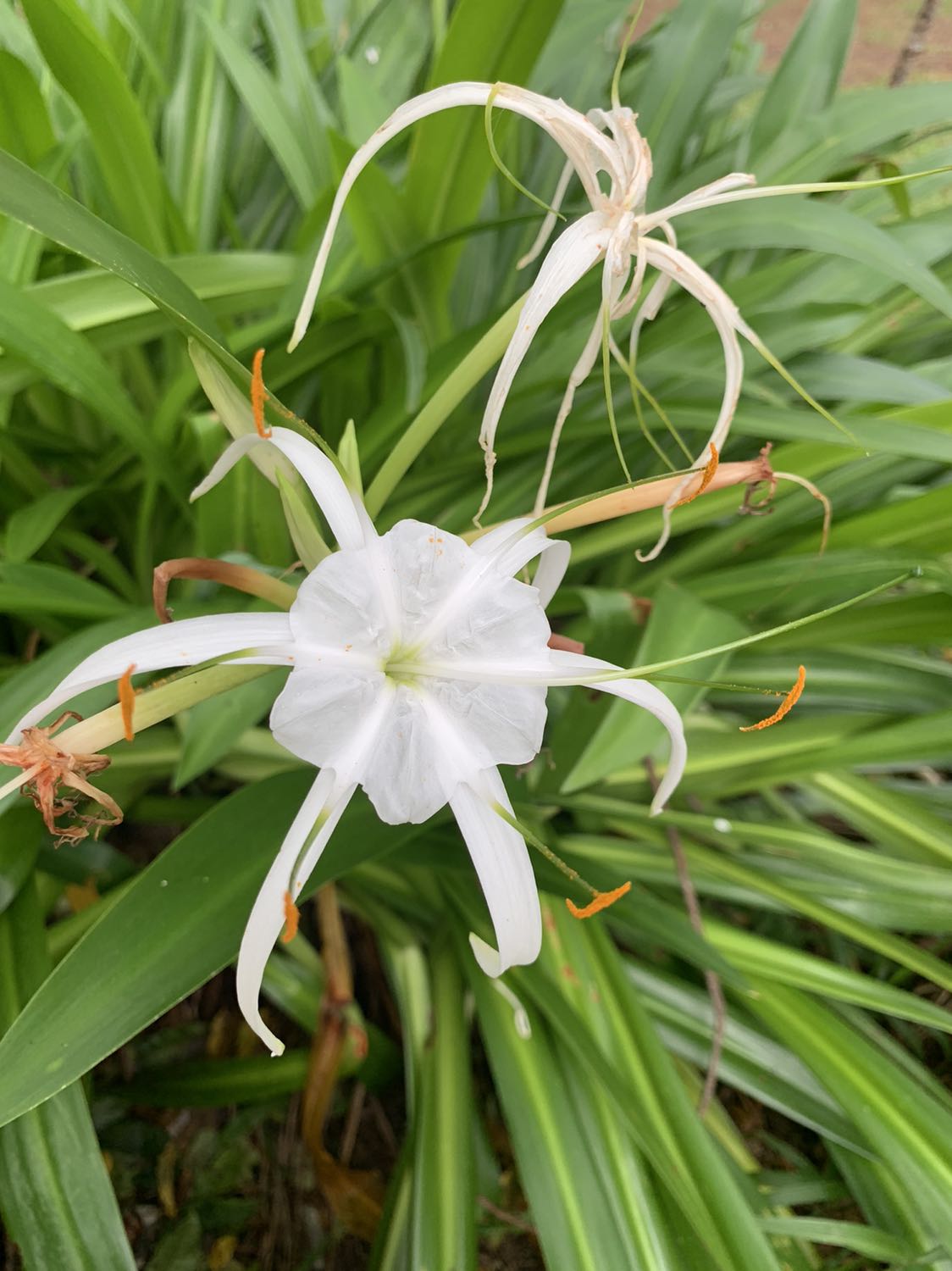 Chất lượng sản phẩm tốt
Đóng gói chắc chắn
Giao hàng nhanh chóng