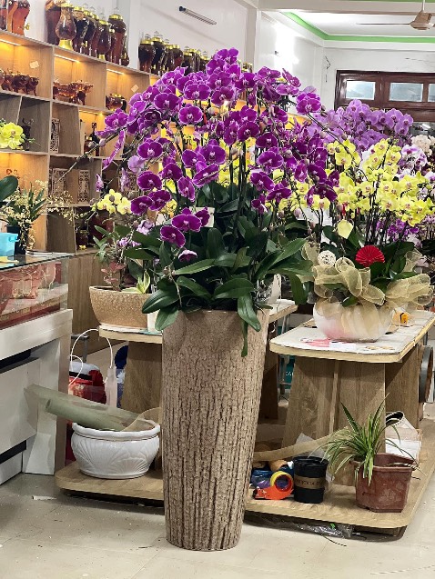 Sản phẩm tốt. Okkkkkkkkkk