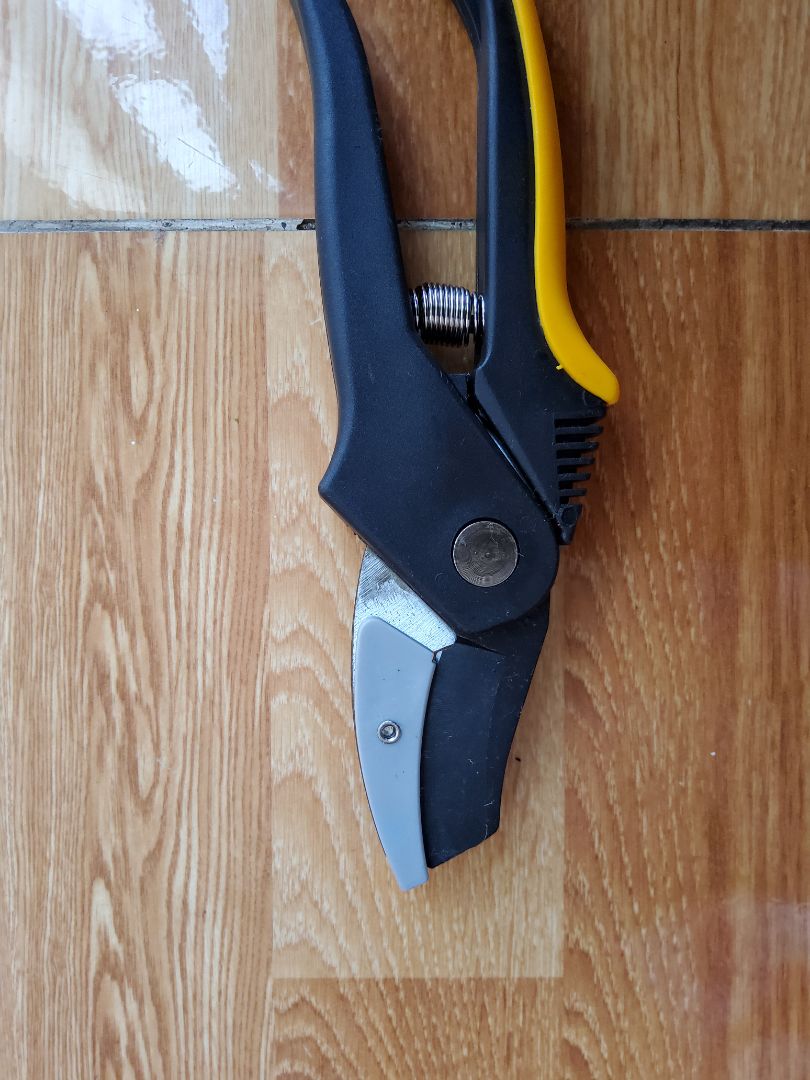 kéo gì quá tệ, không đúng với giá tiền, lưỡi kéo mà thêm nhựa vào không cắt cành sát được, hàng yếu ớt, cắt cành yếu