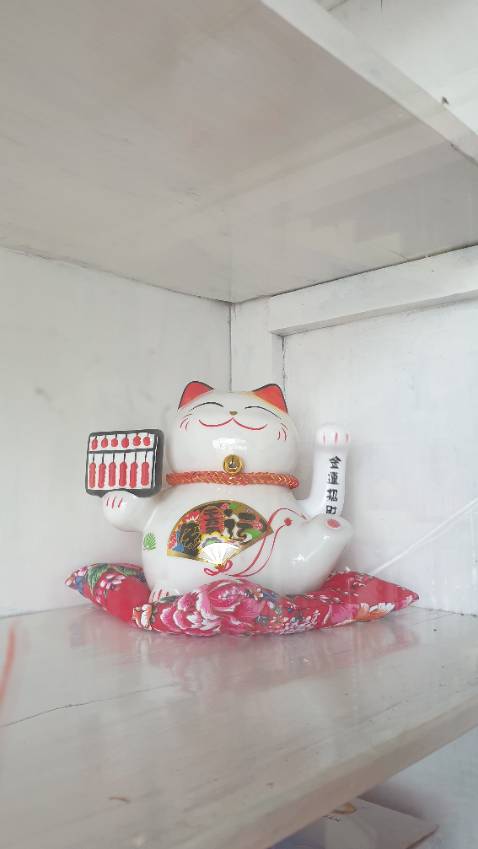 Đóng gói rất kỹ.sản phẩm đẹp,nhìn rat thik.tuy nhiên sản phẩm giao ngẫu nhiên,ko dc lựa chọn.ko khoái vụ này roi