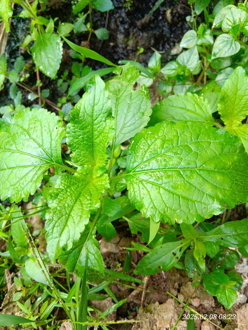 san pham tot. chat luong san pham tot. chat luong