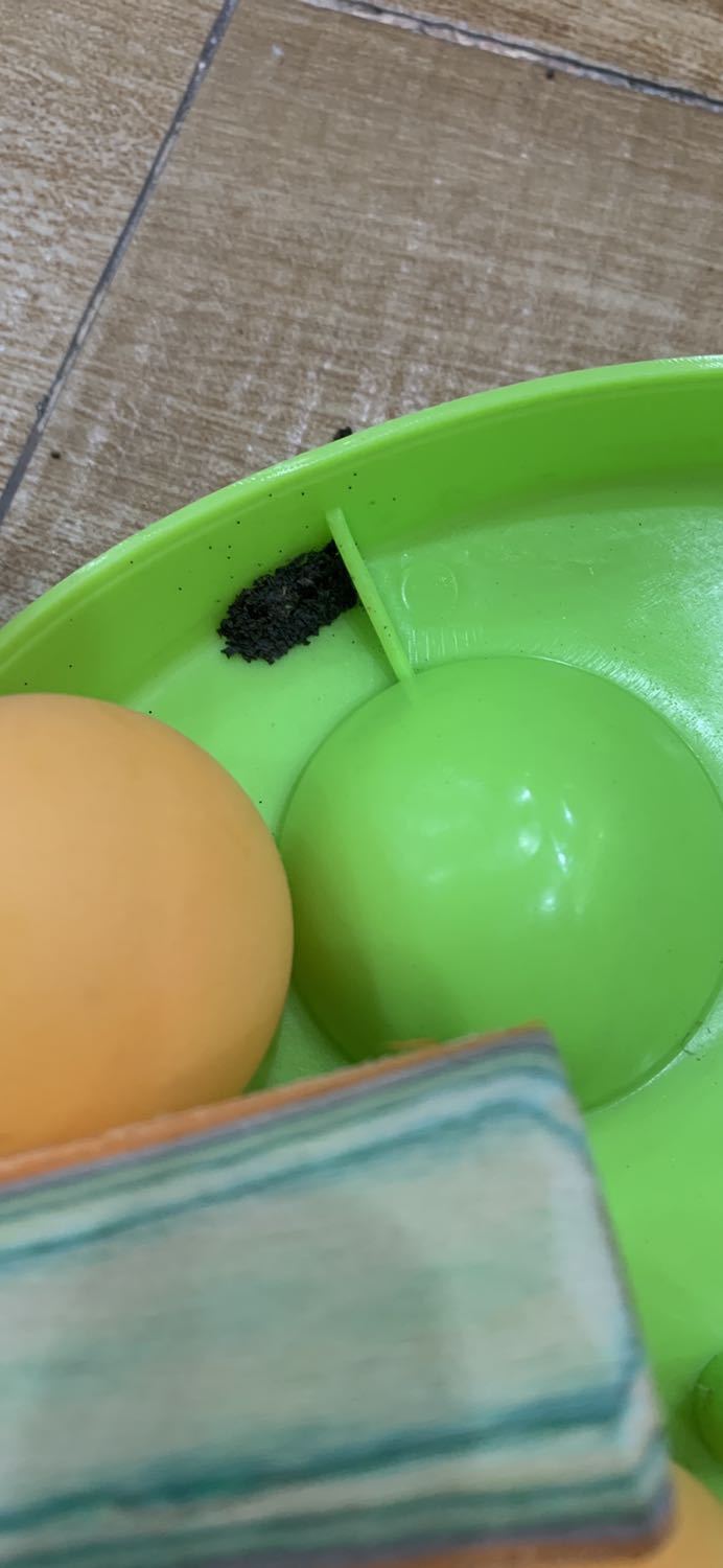 Bộ đồ chơi ko đc kiểm tra trước khi giao: có gián, phân côn trùng, tổ gián .
Vợt tưa răm gỗ, cao su mặt vợt bị côn trùng gặm nham nhở.