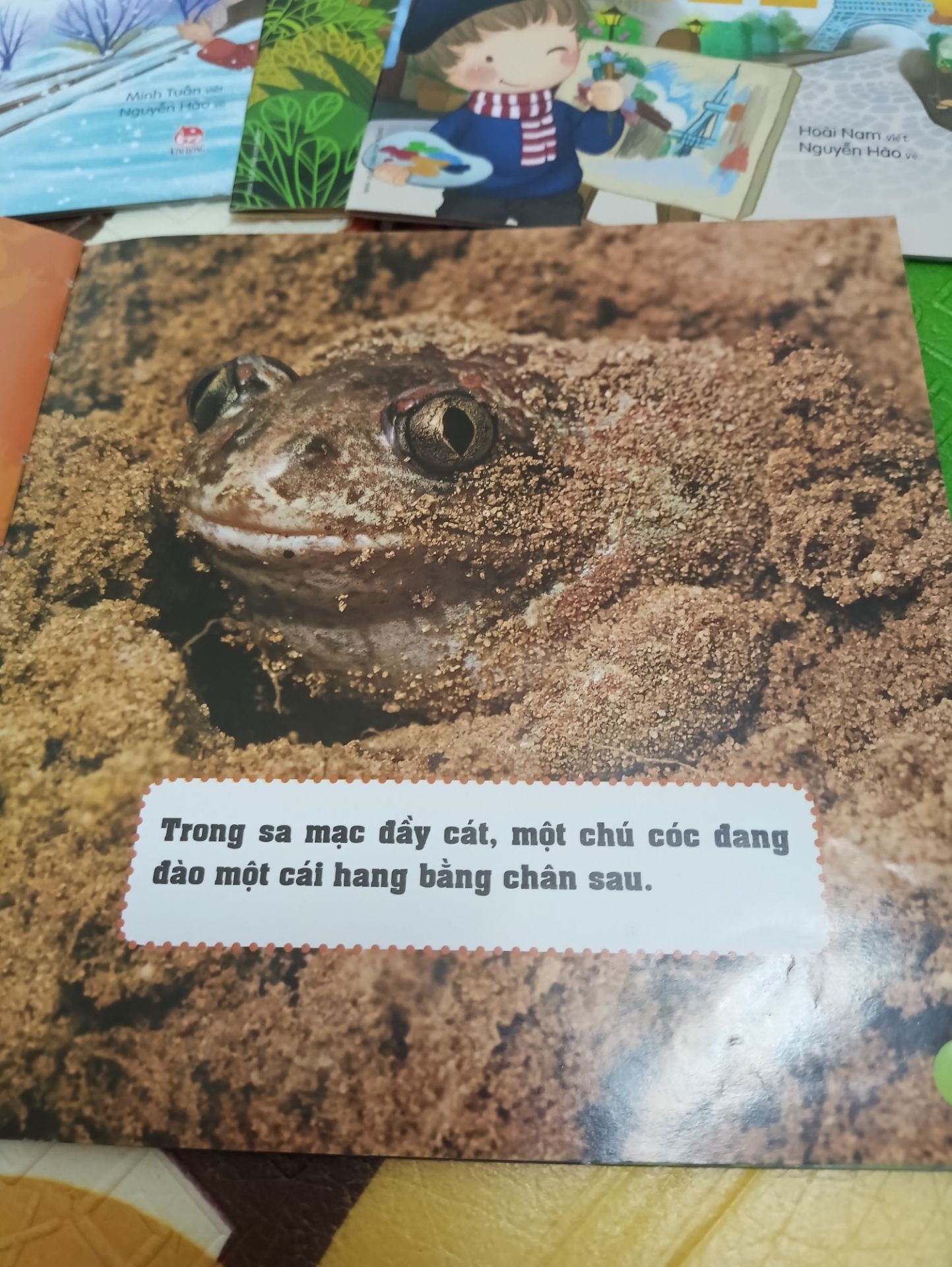 Sách rất hay, mình đọc còn thấy thú vị, bạn nhỏ nhà mình thích lắm. hình ảnh đẹp, sắc nét. Giao hàng nhanh.