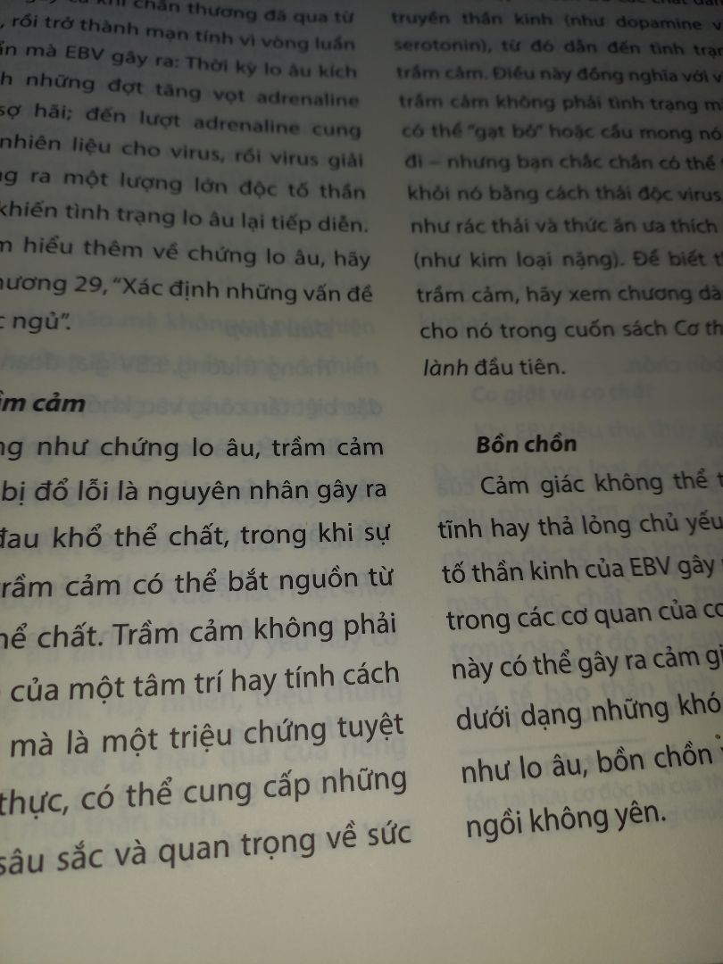 nội dung cũng tạm ổn, lời văn ít có trau chuốt, cảm xúc, hình vẽ theo bé 8 tuổi nhà mình nhận xét: cô tiên gì xấu quá, như phù.thủy