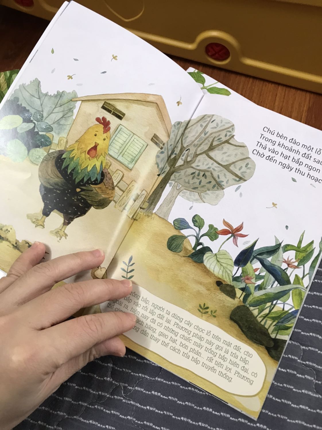 Bộ sách thực sự rất hay. Mình đọc còn thấy thích nữa là các con. Các mẹ nên mua nhé. Giấy bóng, màu đẹp. Sách khổ nhỏ cầm vừa tay.