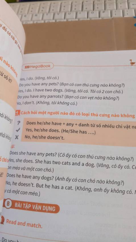 SÁCH IN MÀU SẮC RÕ NÉT, MỚI, NHIỀU MÀU BẮT MẮT