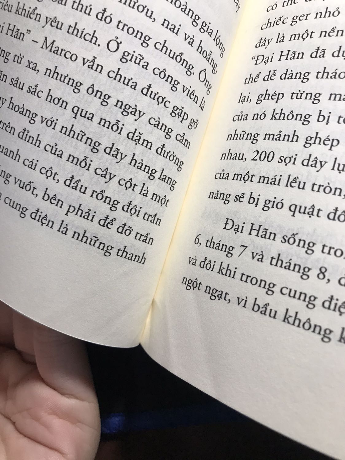 Không bàn đến nội dung. Một cuốn sách mình trong chờ bấy lâu thì tiki lại giao cho mình một cuốn sách chất lượng thế này. Mình thật sự rất không hài lòng về việc này và cần tiki giải quyết sớm.