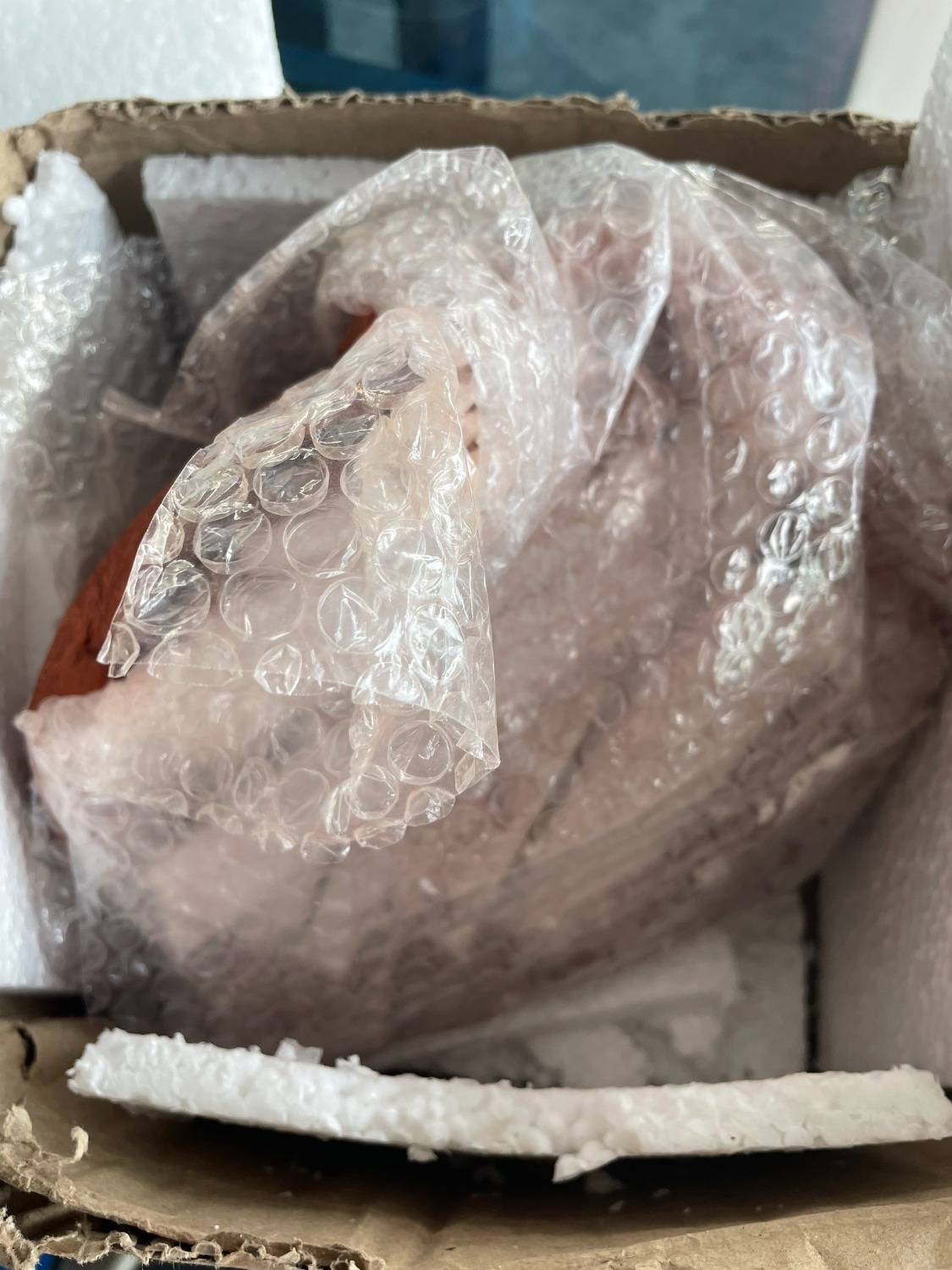 Nếu shop thấy đồ ko bán đc online thì đừng đăng bán đc ko? nếu ko thì đóng gói phải kỹ chớ? nghĩ sao mà nhận đc 1 mớ ..miếng bể vậy?
Đề nghị Shop liên lạc lại và lấy hàng về. cảm ơn