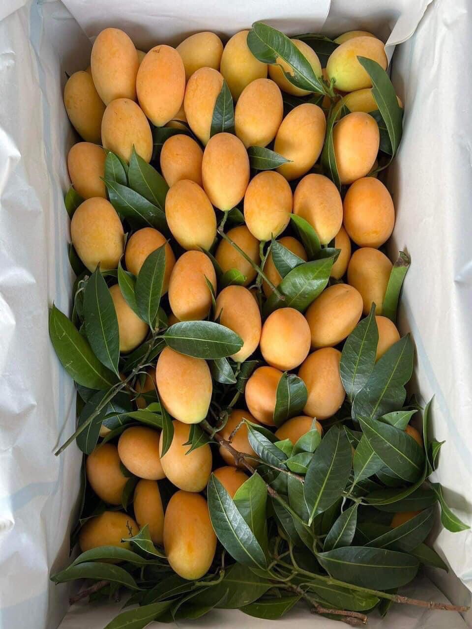 Rất hài lòng Rất hài lòng