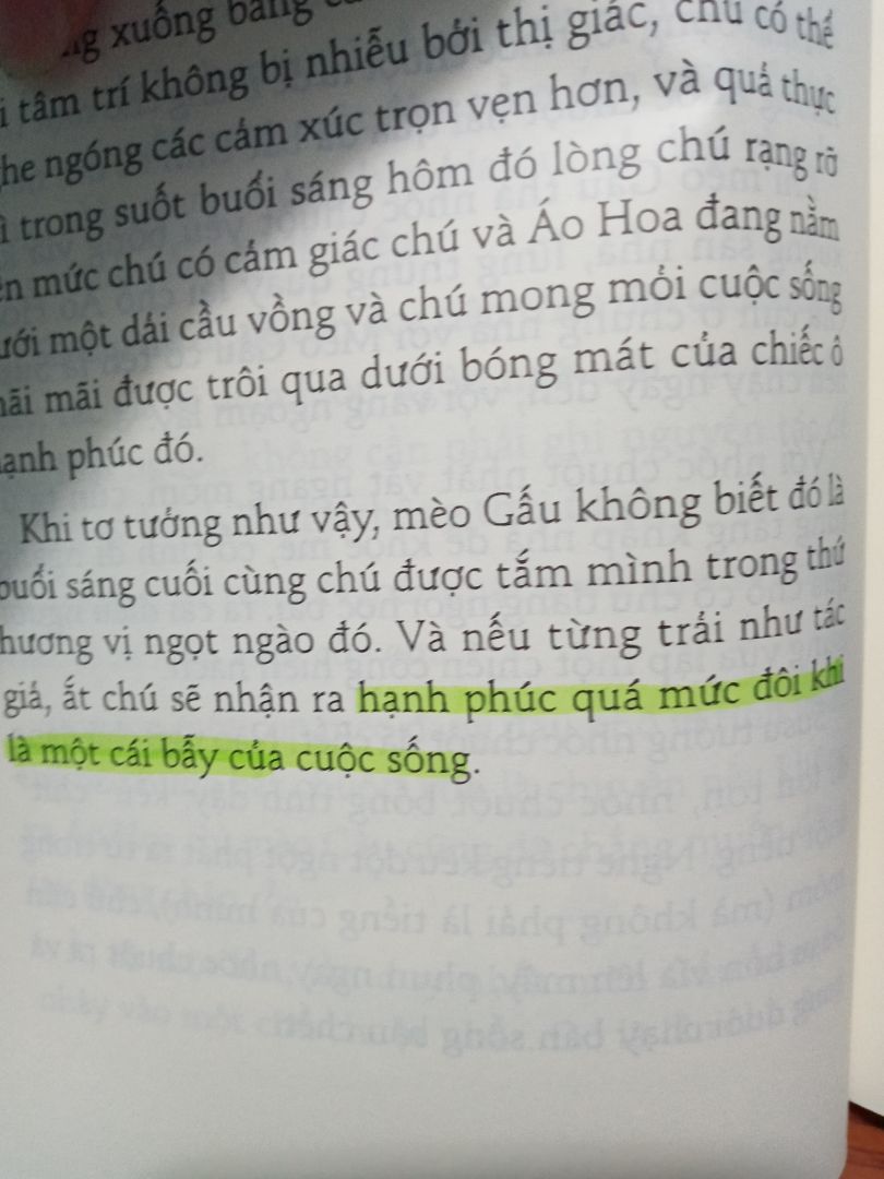 sách có nội dung nhẹ nhàng,kể về tình yêu của mèo Gấu lúc nào cũng nghĩ về nàng mèo Áo Hoa.bên cạnh đó cx kể về tình yêu của chuột Tí Hon với chuột Út Hoa.. sách cũng có những câu nói khá tâm đắc..