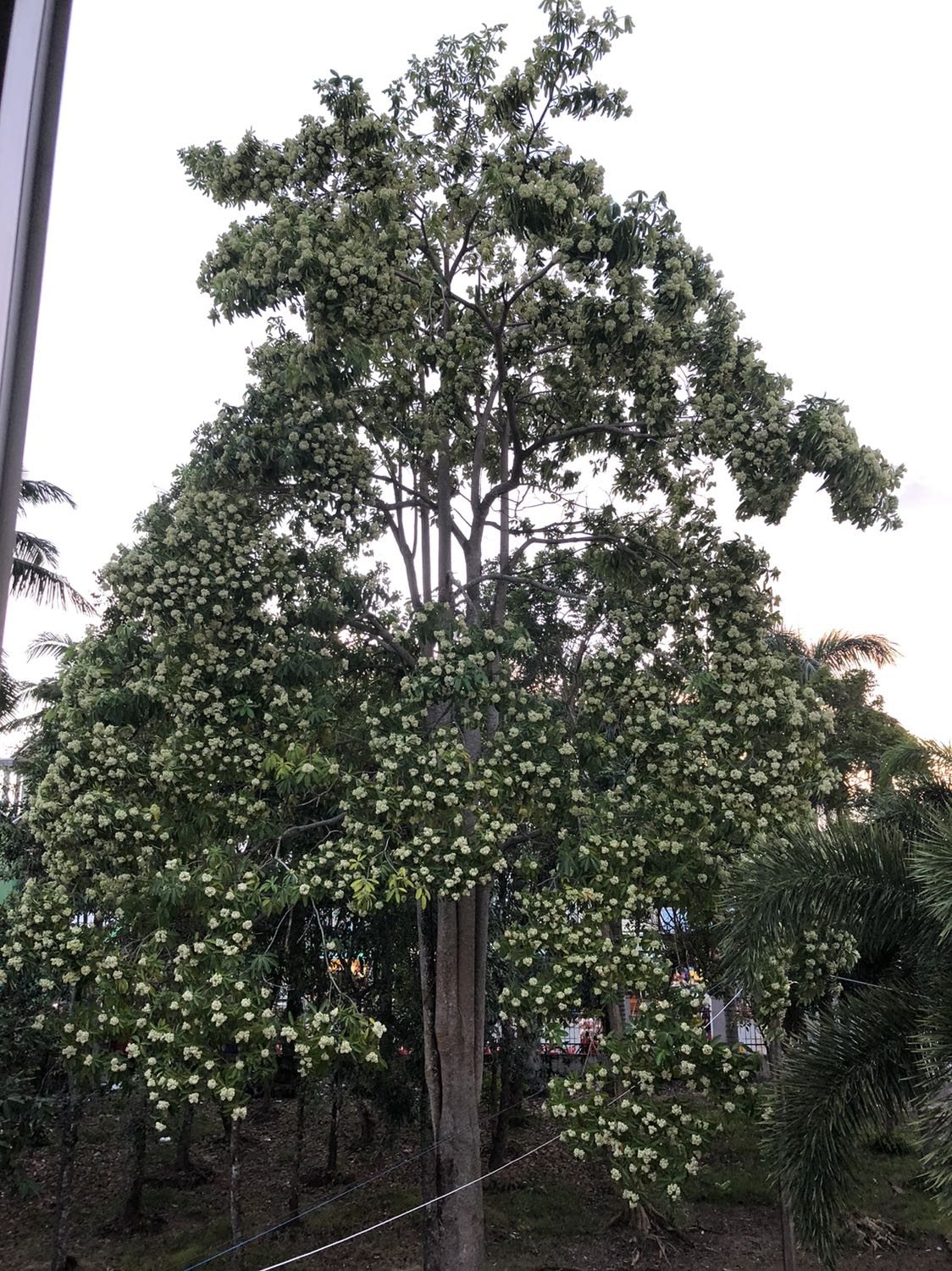 Tiki giao hàng nhanh. Sản phẩm được đóng gói cẩn thận. Sách hữu ích cho trẻ nhỏ.