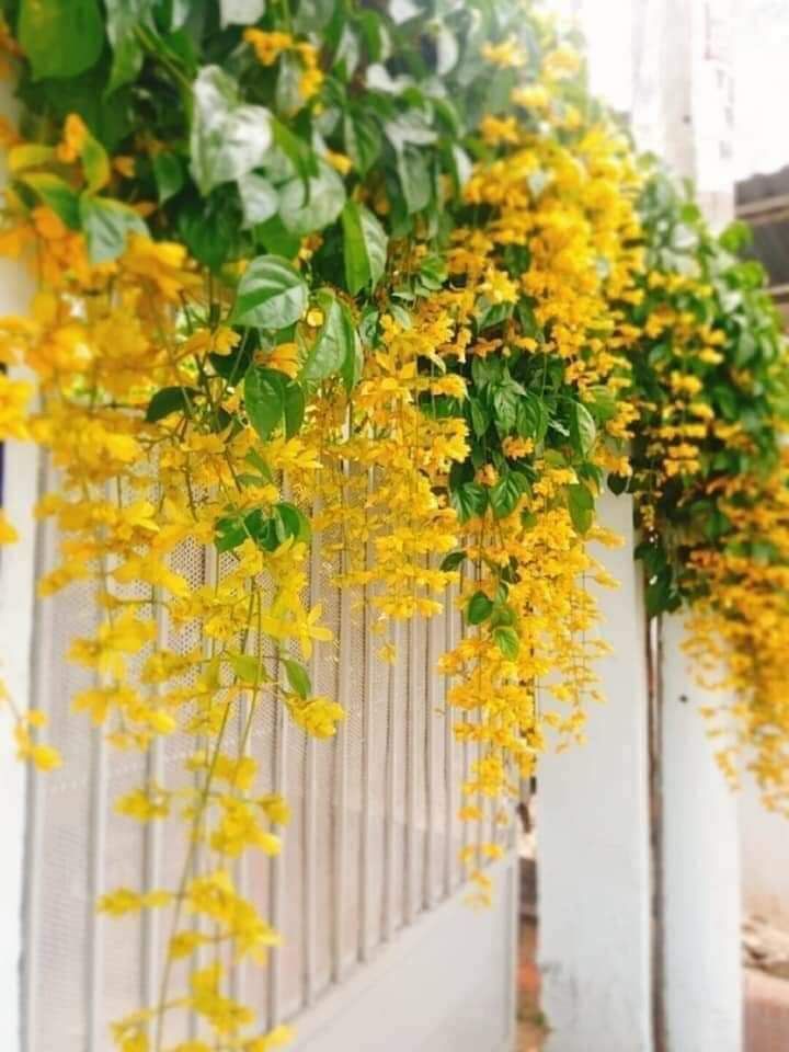 san pham ok . sách dẹp. hinh anh ro rang . . ti ki giao hang nhanh . nen mua cho *** be doc nhe . . . tron bo truyen ke cua be rat thich . . . .