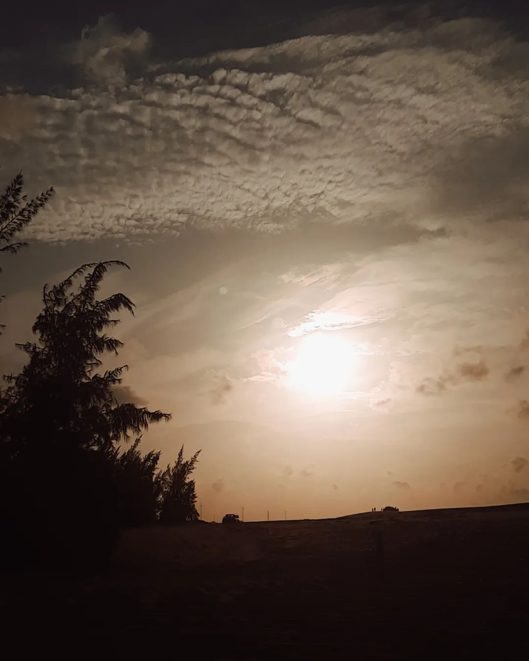 Dùng thay đường, rất tốt. Uống vào nó ngọt thanh, mẹ mình khen nên mình thuật lại lời của mẹ. Mình có giới thiệu cho một số công ty sản xuất để dùng bột này làm nguyên liệu và họ đã cảm ơn mình. Còn bạn thì sao ?