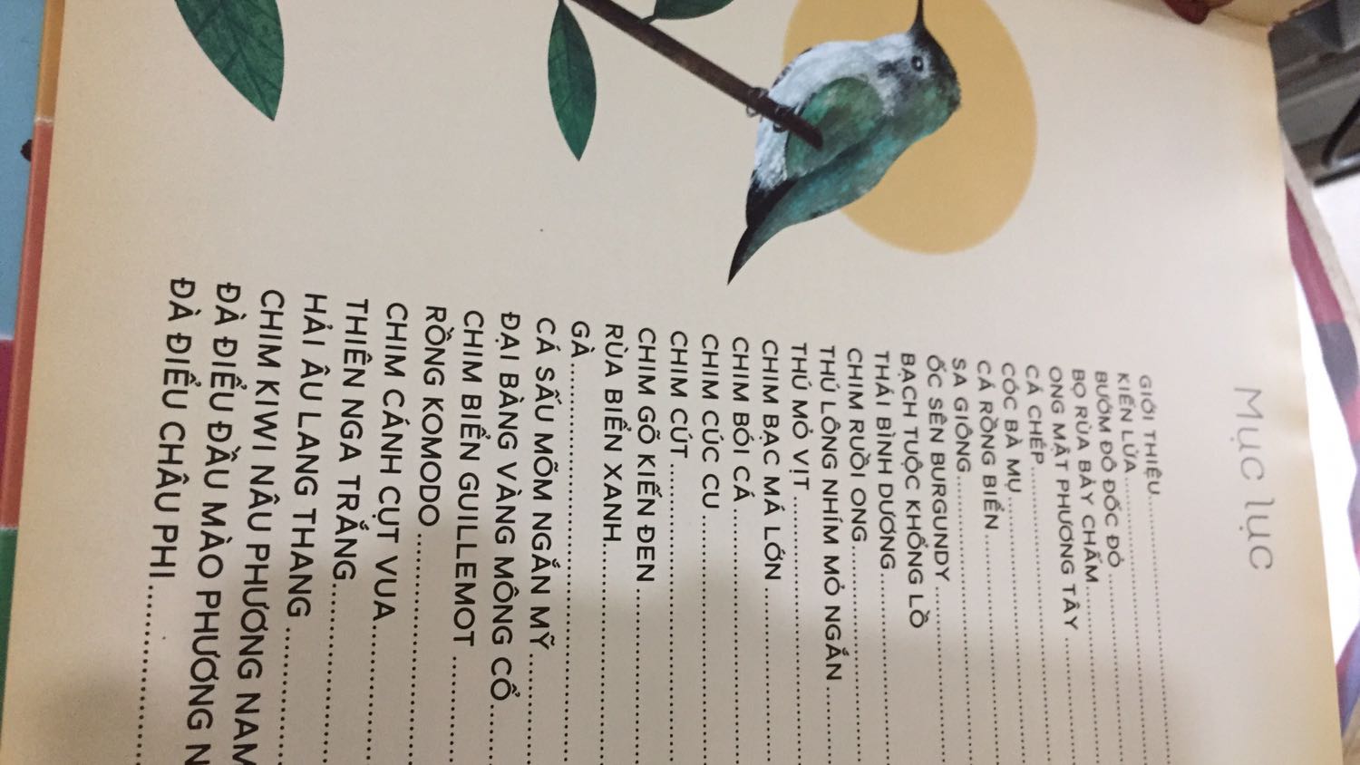 Cuốn sách rất đẹp với giấy láng bóng, hình minh họa nghệ thuật v tất nhiên là những thông tin thú vị nữa❤️