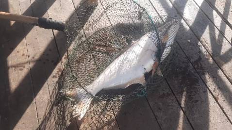 Giao hàng nhanh, đóng gói cẩn thận hàng đẹp chất lượng tốt