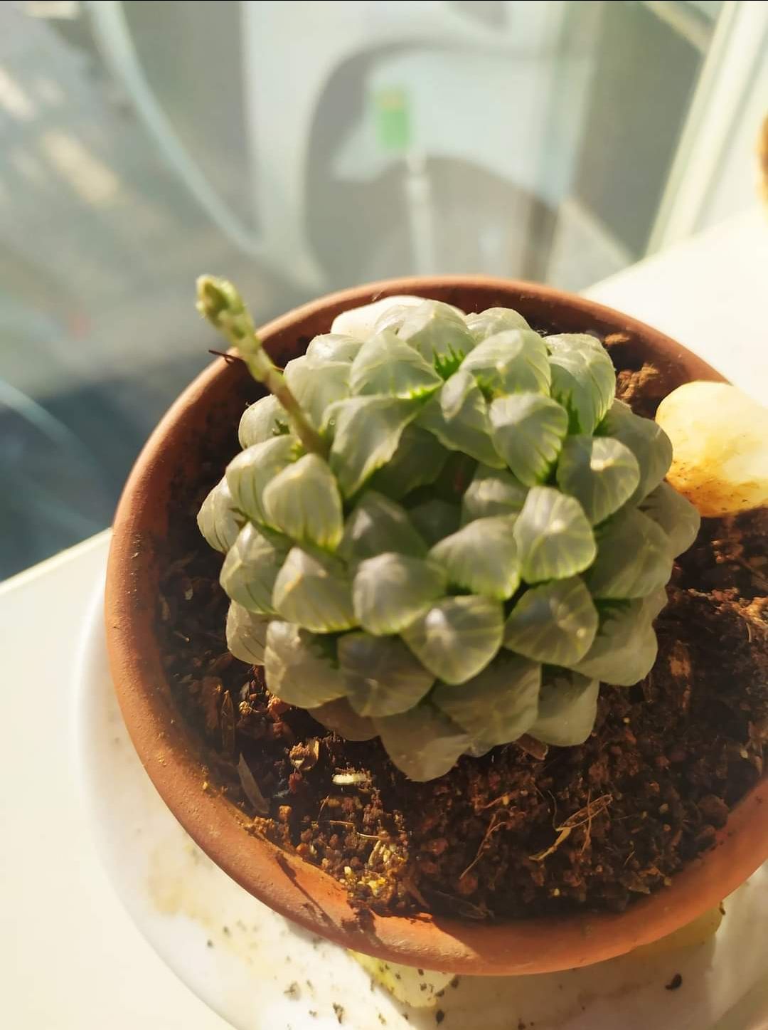 giao hàng đúng sản phẩm đúng hàng giao chuẩn ạ